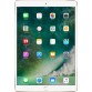 Apple iPad Pro 64 GB 10.5 inch with Wi-Fi Only  (Gold)